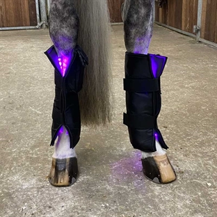 Equine LTS 3.0 neopren 2 stk. inkl. 2 elastikker