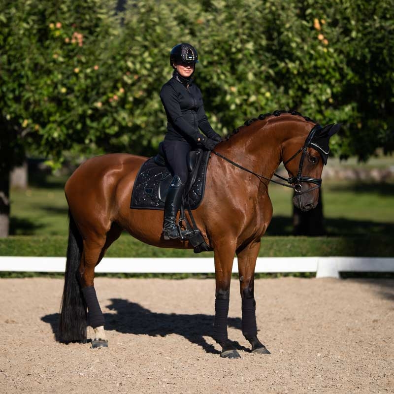 Equestrian Stockholm underlag "All Black Glimmer"
