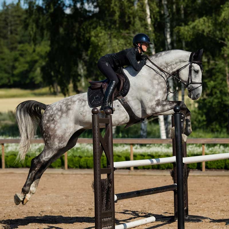 Equestrian Stockholm underlag "All Black Glimmer"