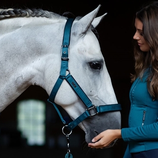 Equestrian Stockholm neoprengrime og træktov "Aurora Blues"