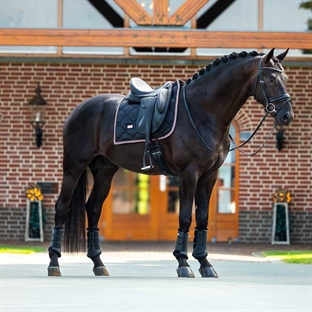 Equestrian Stockholm underlag "Black Blush"