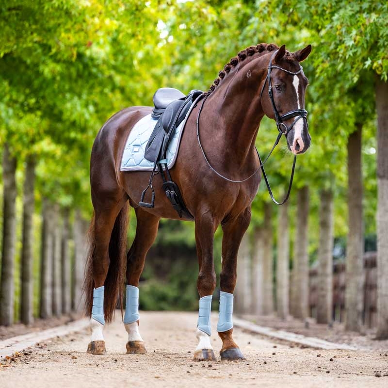 Equestrian Stockholm underlag "Ice Blue"