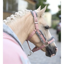 Equestrian Stockholm grime "Pink"
