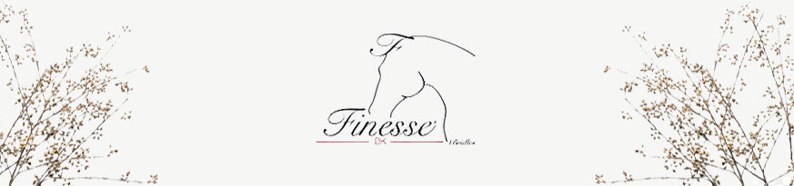 Finesse Trenser Banner - Logo