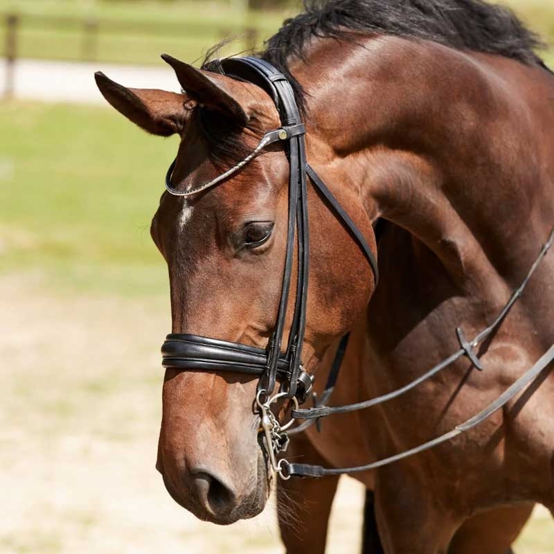 Finesse kandar "Cassidy 2.0" rundsyet - sort/sort/sølv