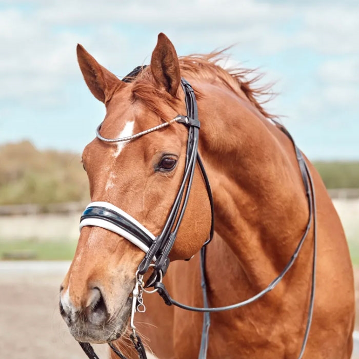 Finesse kandar "Cassidy" rundsyet m. lak - sort/hvid/sølv