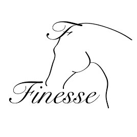 FINESSE TRENSER