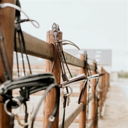 Finesse Bridles trense rundsyet - brun/beige