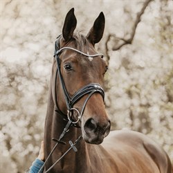 Finesse Bridles trense rundsyet - sort m. sort foring og lak