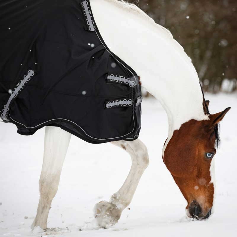 Catago "FIR-Tech Compound" turnout dækken 0g. - sort