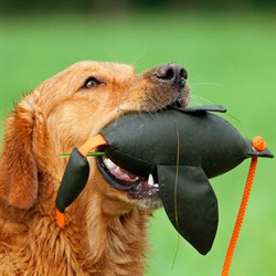 Firedog Dummy And - orange/khaki - Køb hos Lundemøllen