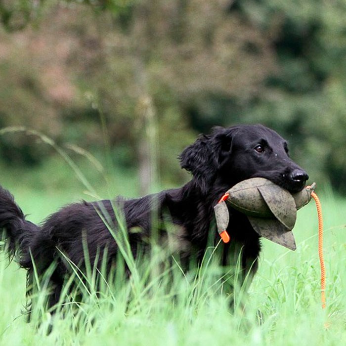 Firedog Dummy And - orange/khaki - Køb hos Lundemøllen