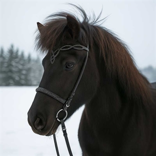 QHP islændertrense "Frosti" - sort