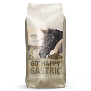 Dangro Amequ Go Happy Gastric 15kg.