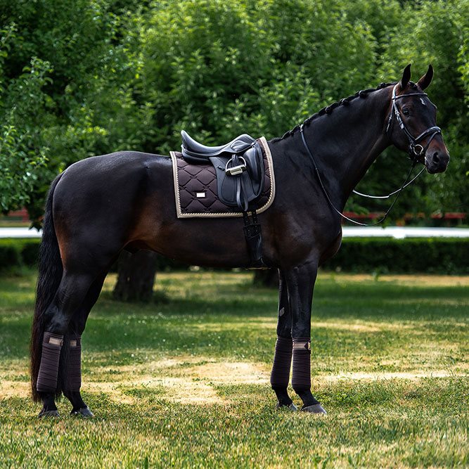 Equestrian Stockholm Golden Brown underlag