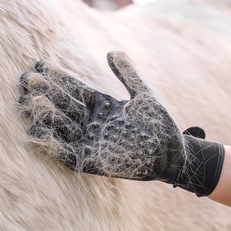 Waldhausen striglehandsker "Cleaning & Care" - sort