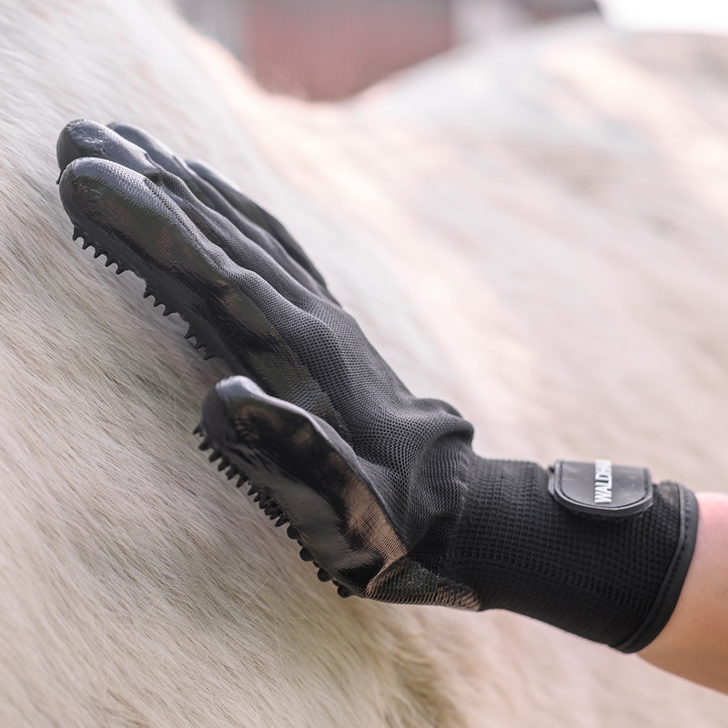 Waldhausen striglehandsker "Cleaning & Care" - sort