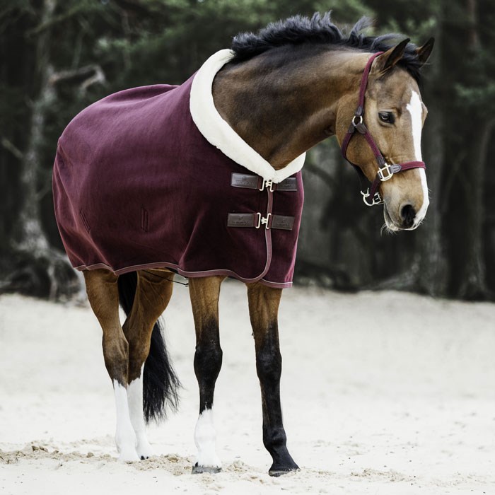 Kentucky dækken "Fleece Show Rug Heavy" - bordeaux