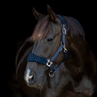 HorseGuard grime "Anabel Diamond" - navy