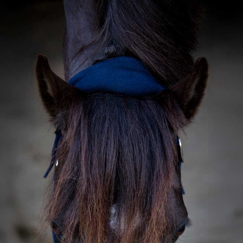 HorseGuard grime "Anabel Diamond" - navy
