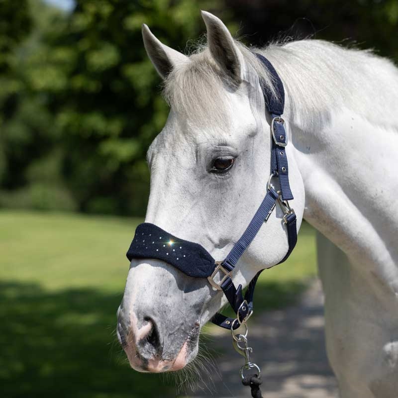 HorseGuard grime "Anabel Diamond" - navy