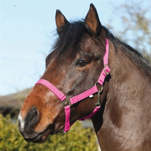 HorseGuard foldgrime - pink