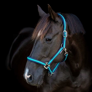 HorseGuard grime "Striped" - navy/turkis