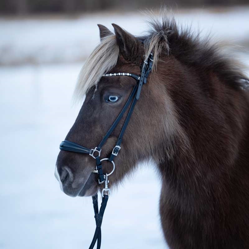 HorseGuard tøjler "SuperGrip" m. karabin - sort