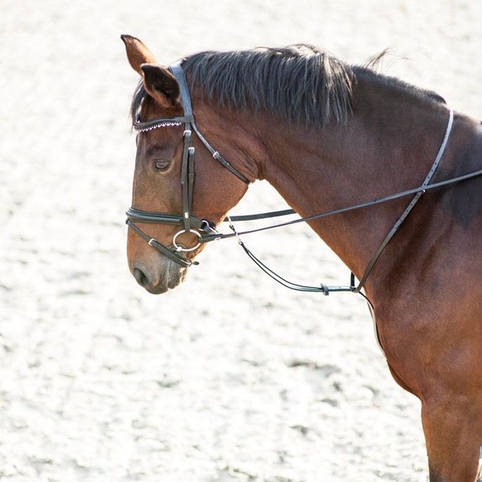 HorseGuard martingal, sort læder