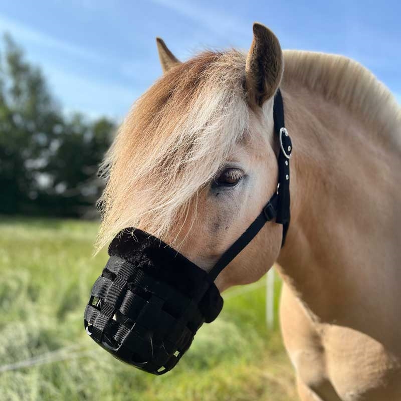 HorseGuard mundkurv "Anatomisk" m. plys