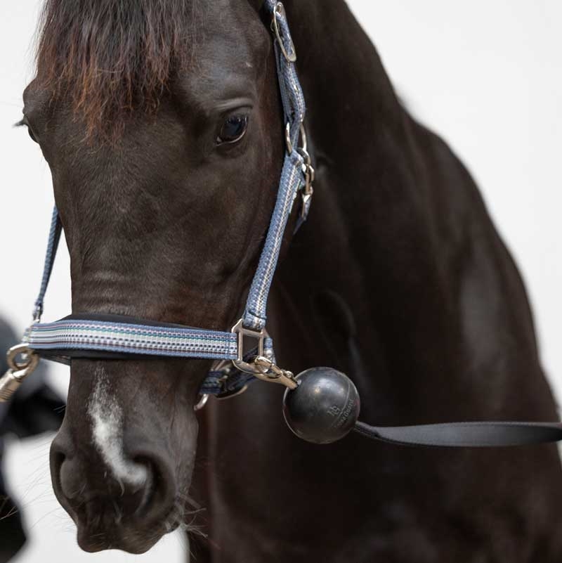 HorseGuard opbindingsstrop m. gummibold - sort 