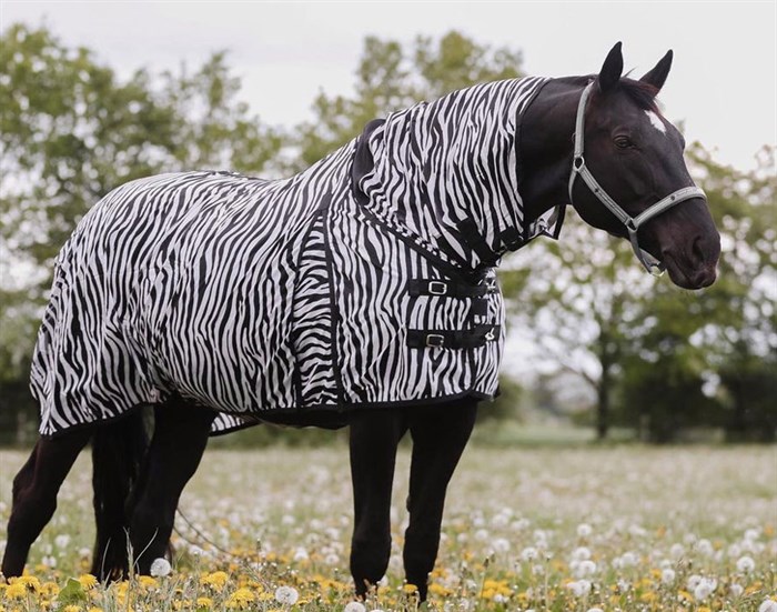HorseGuard zebra insektdækken - Køb hos Lundemøllen ✓