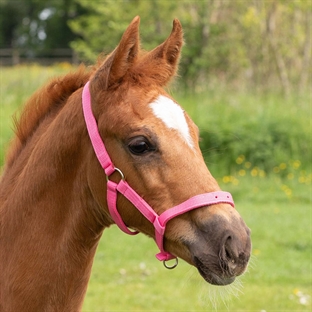 Harrys Horse følgrime - pink