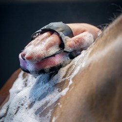 Lemieux Hippo Scrubber - vaskesvamp med håndtag