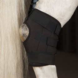 Incrediwear Equine Hock Boot - hasebandage