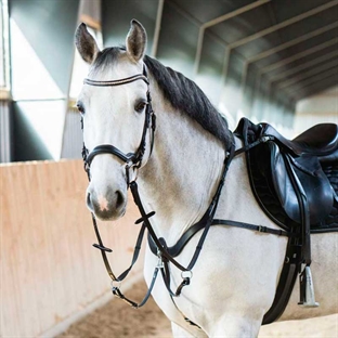 Fortøj fra HorseGuard i sort