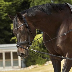 Ergonomisk nakkestykke Ava HorseGuard rundsyet trense