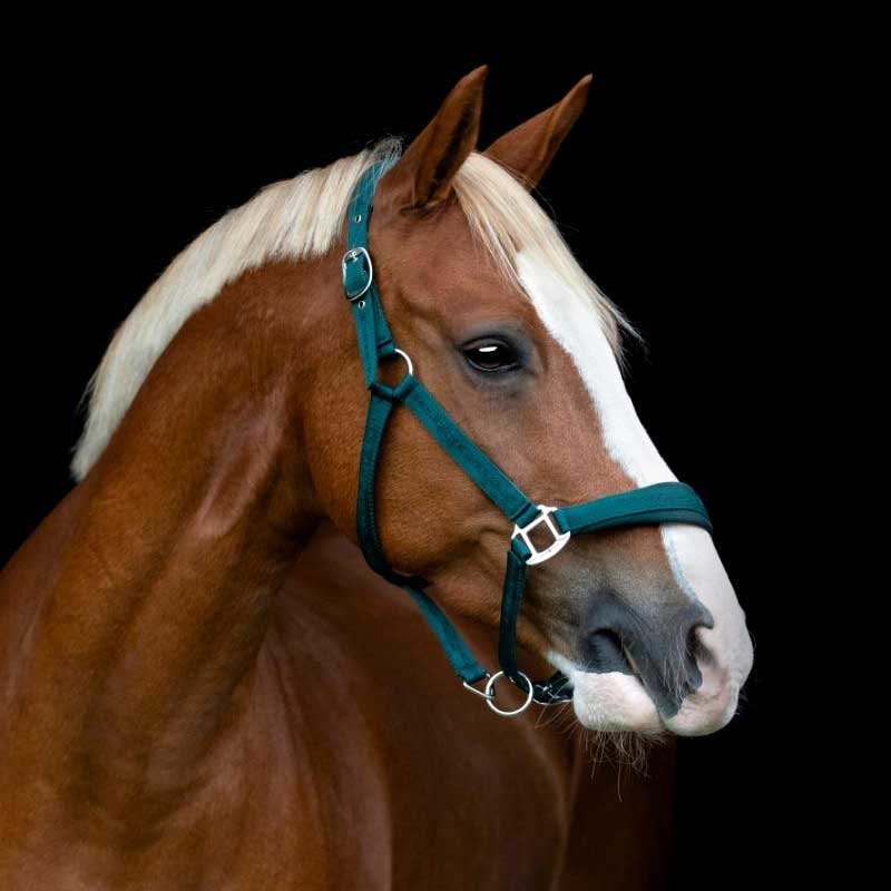 HorseGuard grime "Diya 2.0" - Ponderosa Pine på hest