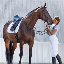 Horseguard Kava rundsyet kandar på hest