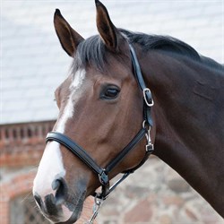 Se den flotte lædergrime fra HorseGuard på hest