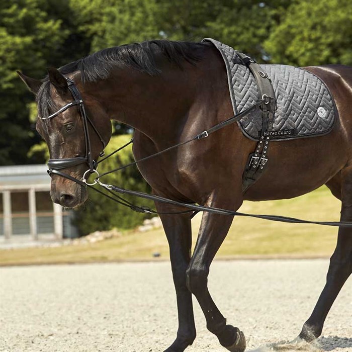 Tøjle med tre punkter fra Horseguard