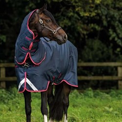 Horseware "Amigo Bravo 12 Plus" - 250g