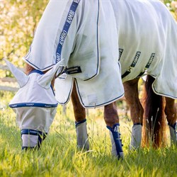 Hest ses med Horseware protector insektdækken også med maske