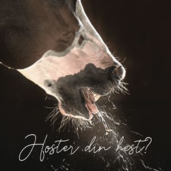 Hoster din hest?