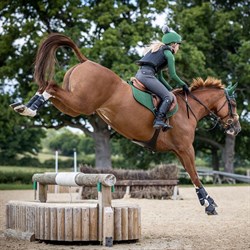 LeMieux Jumping Luxury underlag - hunter green