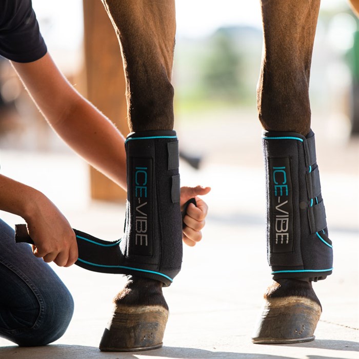 Horseware Ice-Vibe kølegamacher med vibration