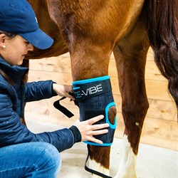 Horseware Ice-Vibe kølende hasegamacher med vibration