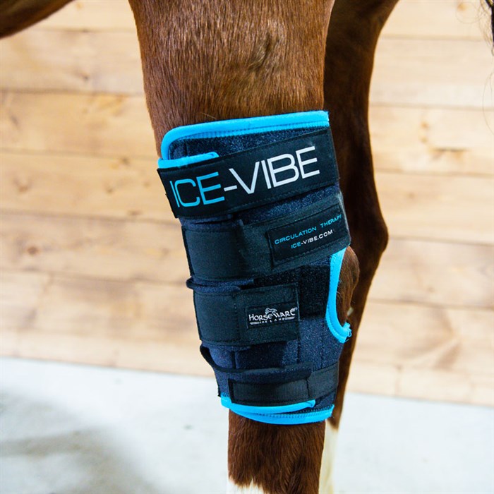 Horseware Ice-Vibe kølende hasegamacher med vibration