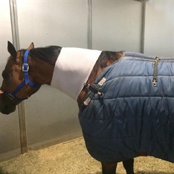 Incrediwear Equine Circulation Neck Sleeve 