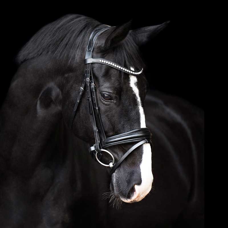Imperial Riding trense "Fria" - sort